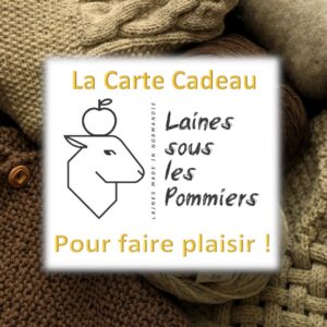 Carte cadeau de l'entreprise "Laines sous les Pommiers", spécialisée dans la laine durable, avec des pelotes de laine en arrière-plan.