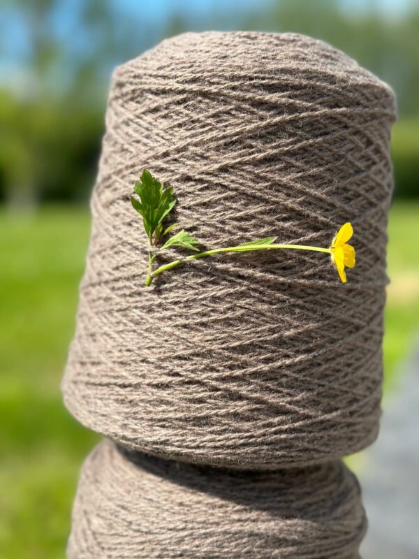 Fournitures en laine durable avec une fleur et une plante sur des pelotes de fil, en plein air sous un ciel bleu.