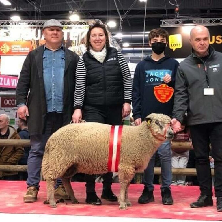 Quatre personnes posent avec un mouton décoré lors d'un événement sur la laine, représentant l'entreprise "Laines sous les Pommiers".