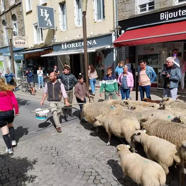 Un groupe de jeunes conduisant des moutons dans une rue animée, avec des spectateurs observant la scène.