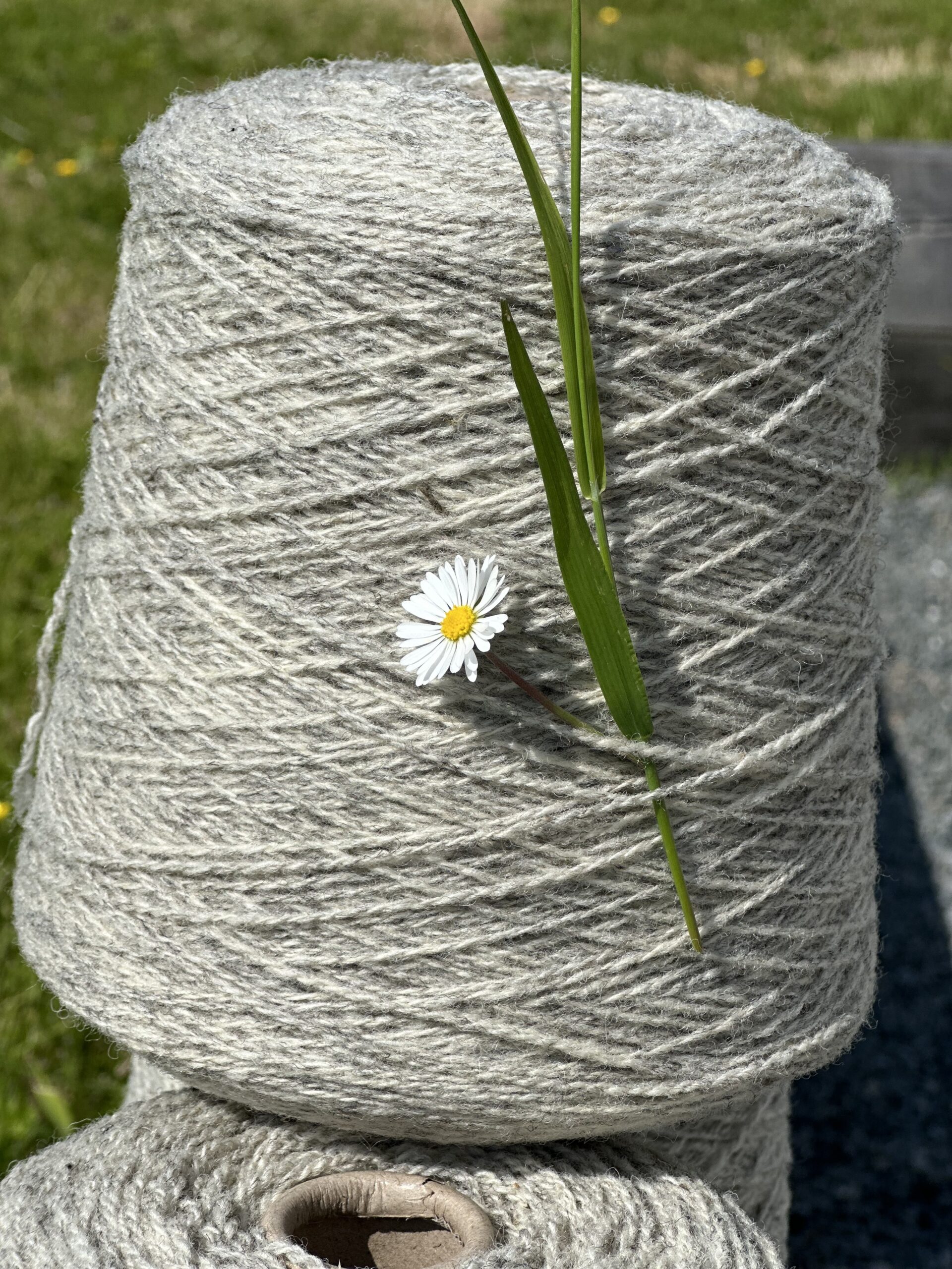 🧶 De la toison à la pelote : comprendre les étapes clés