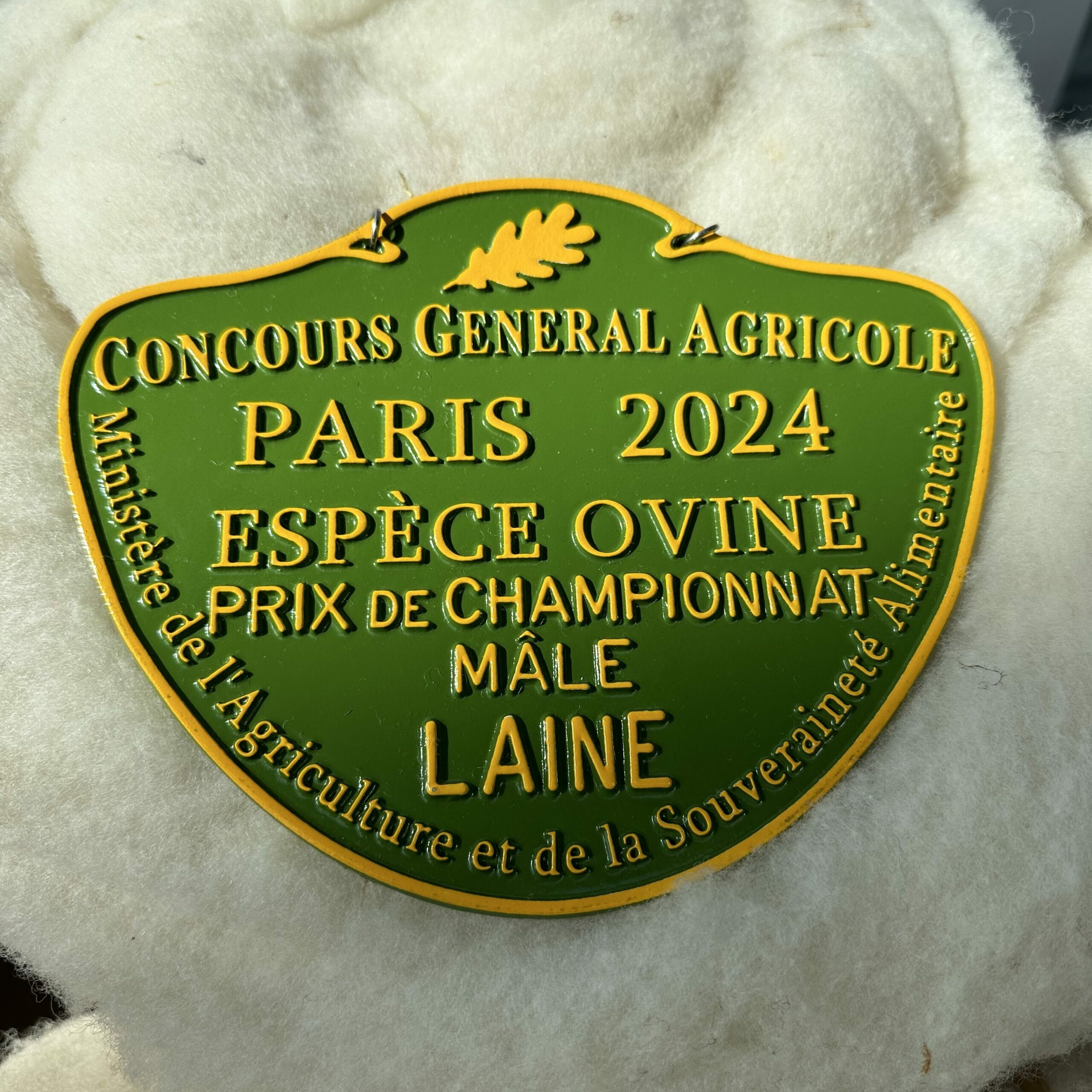 Médaille du Concours Général Agricole 2024, prix de championnat pour la laine de mouton à Paris.