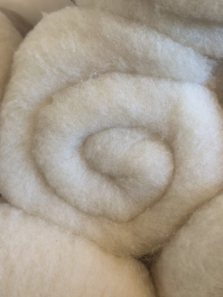 Laine cardée de mouton, douce et naturelle, enroulée en spirale, symbole de l'artisanat normand.