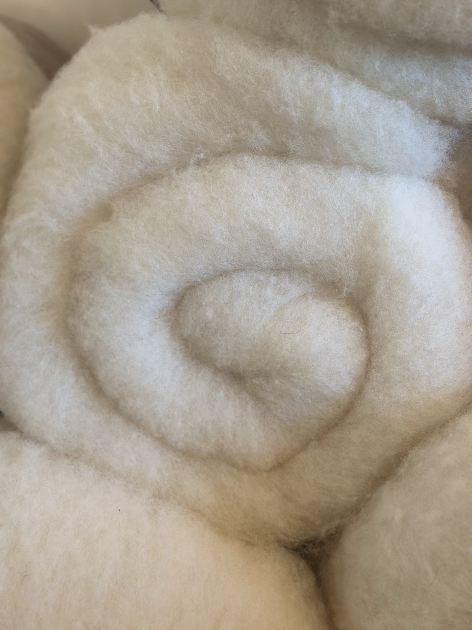Laine cardée de mouton, douce et naturelle, enroulée en spirale, symbole de l'artisanat normand.