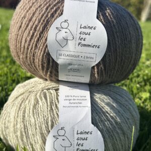 Deux pelotes de laine "Laines sous les Pommiers", en beige et gris clair, étiquetées 100% laine vierge Avranchin sur fond verdoyant.