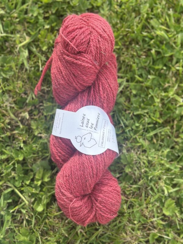 Echeveaux colorés & teintés en végétal
