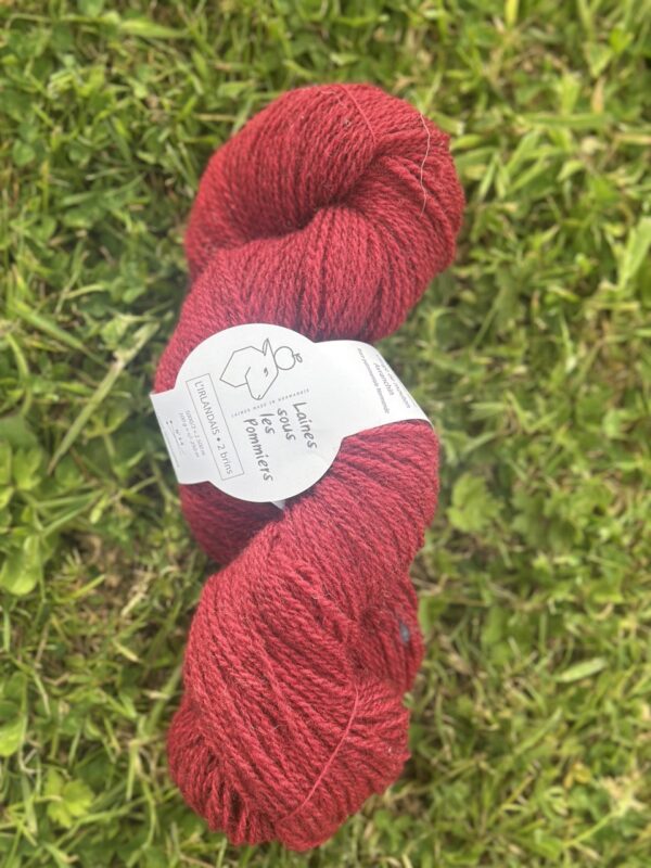 Echeveaux colorés & teintés en végétal
