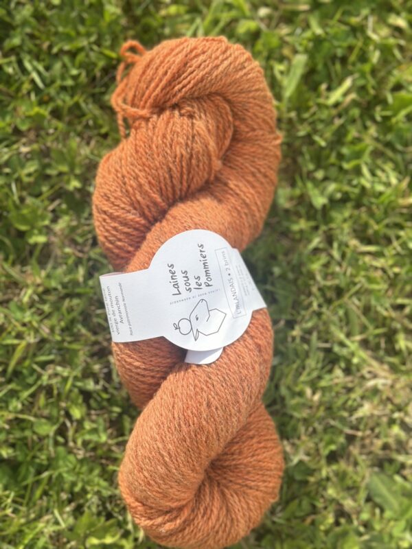 Echeveaux colorés & teintés en végétal