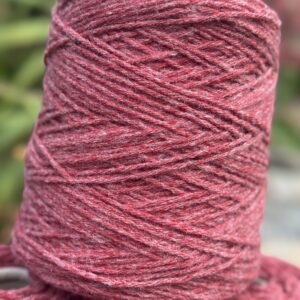 Cône - L'Avranchin Aran