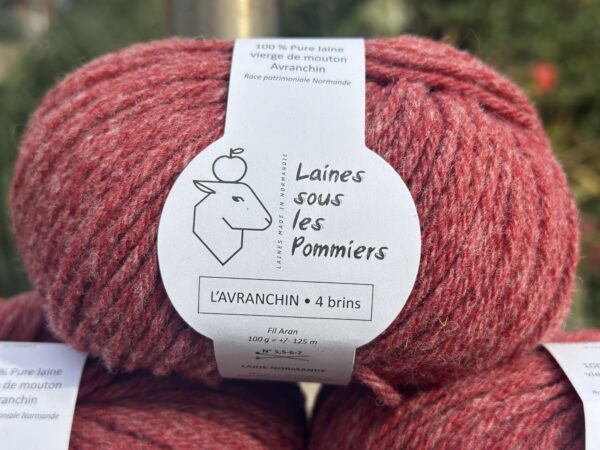Pelote - L'Avranchin Aran – Image 5
