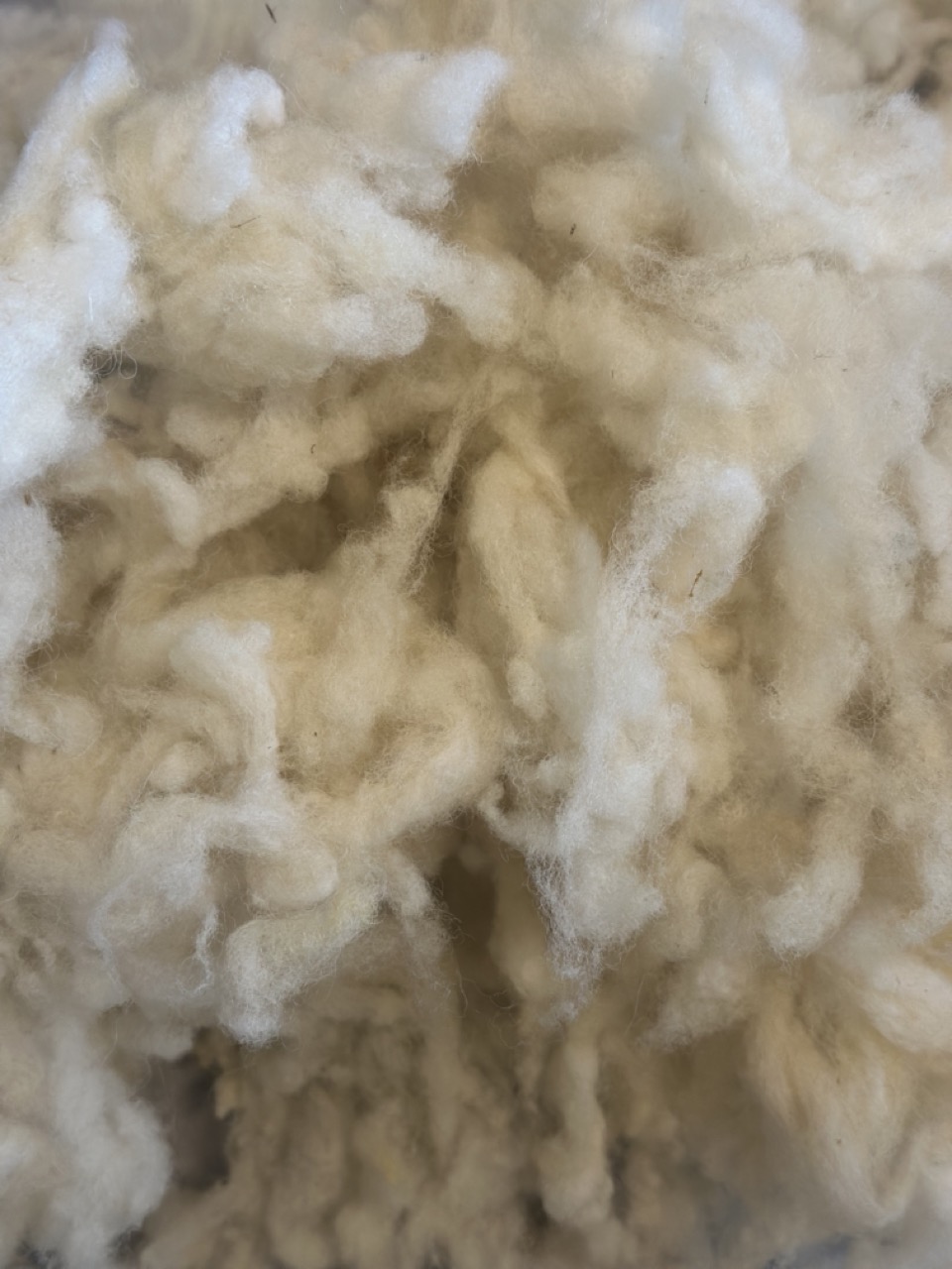 Laine en flocon – Image 2