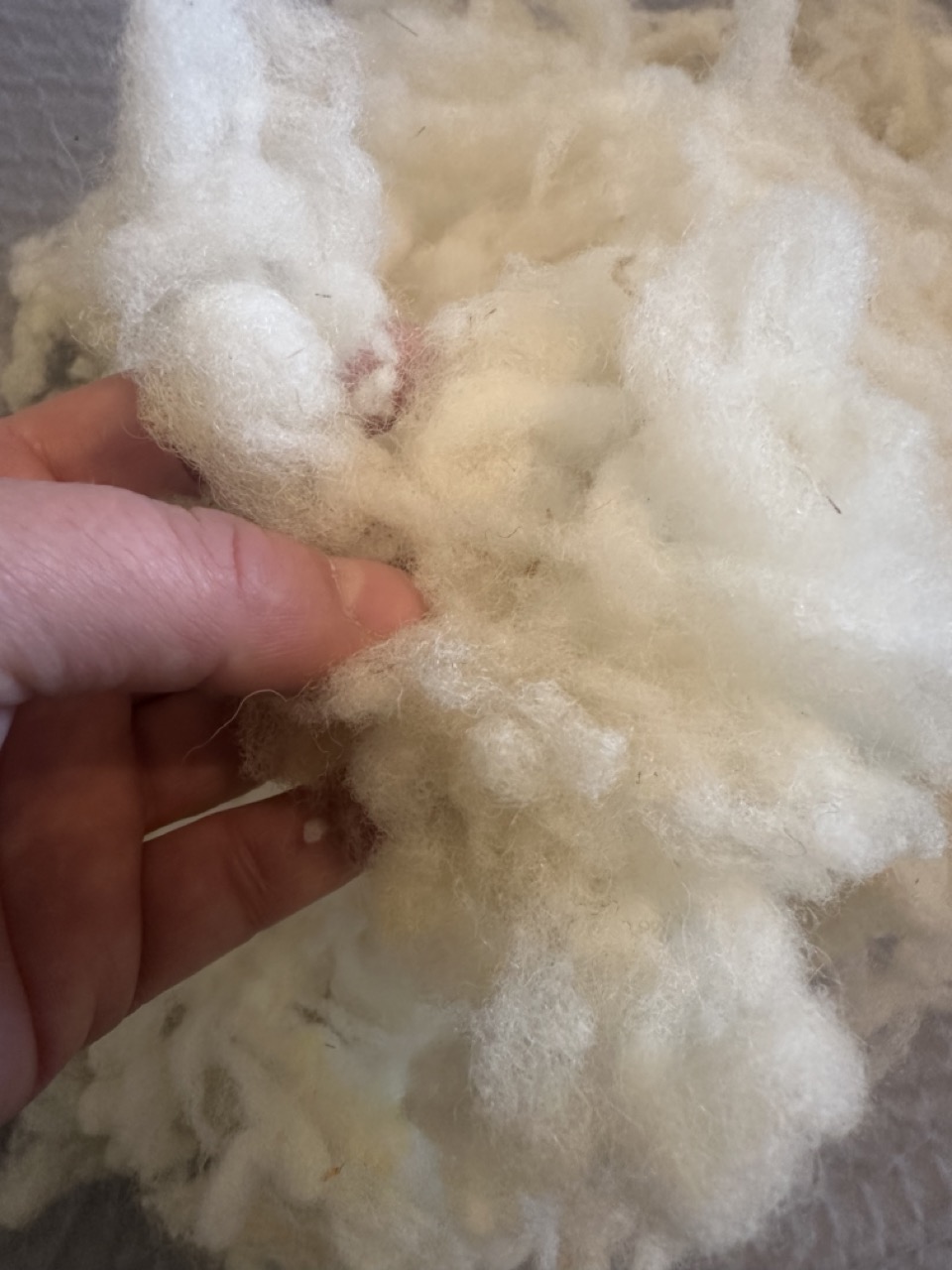 Laine en flocon – Image 3