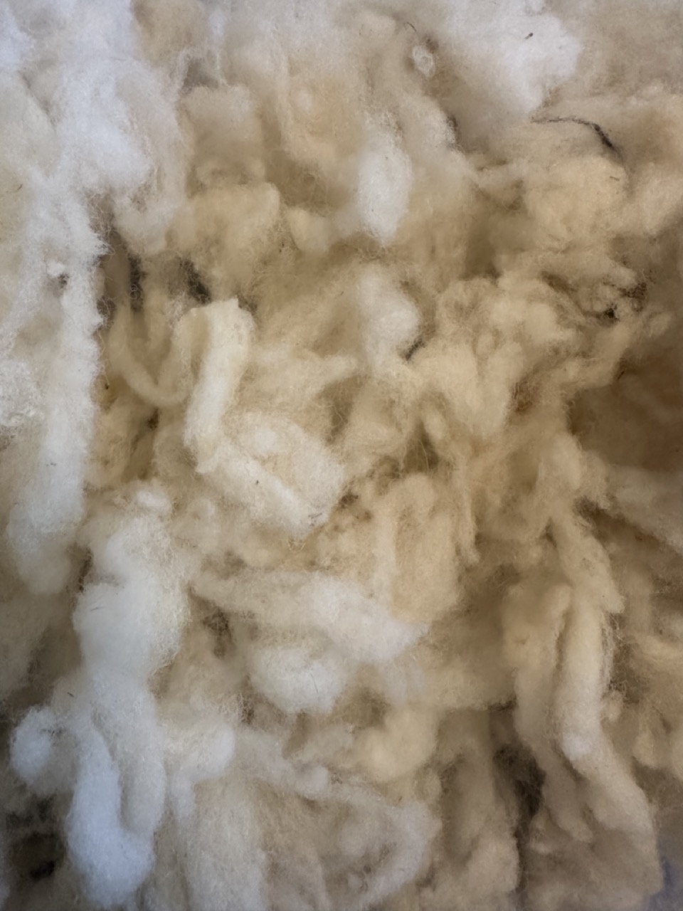 Laine en flocon – Image 4