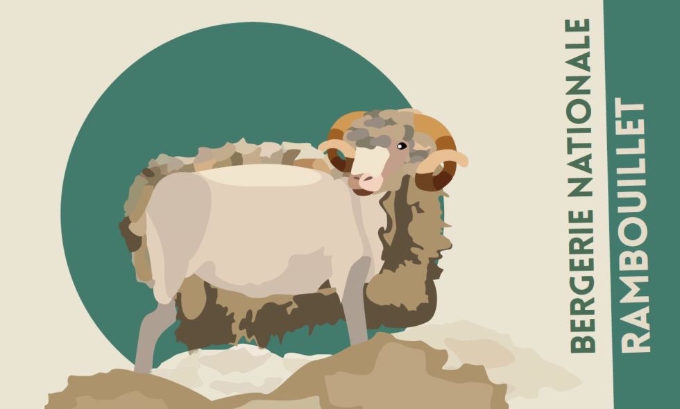 🐑 Fête des Bergers – Bergerie nationale de Rambouillet (78)