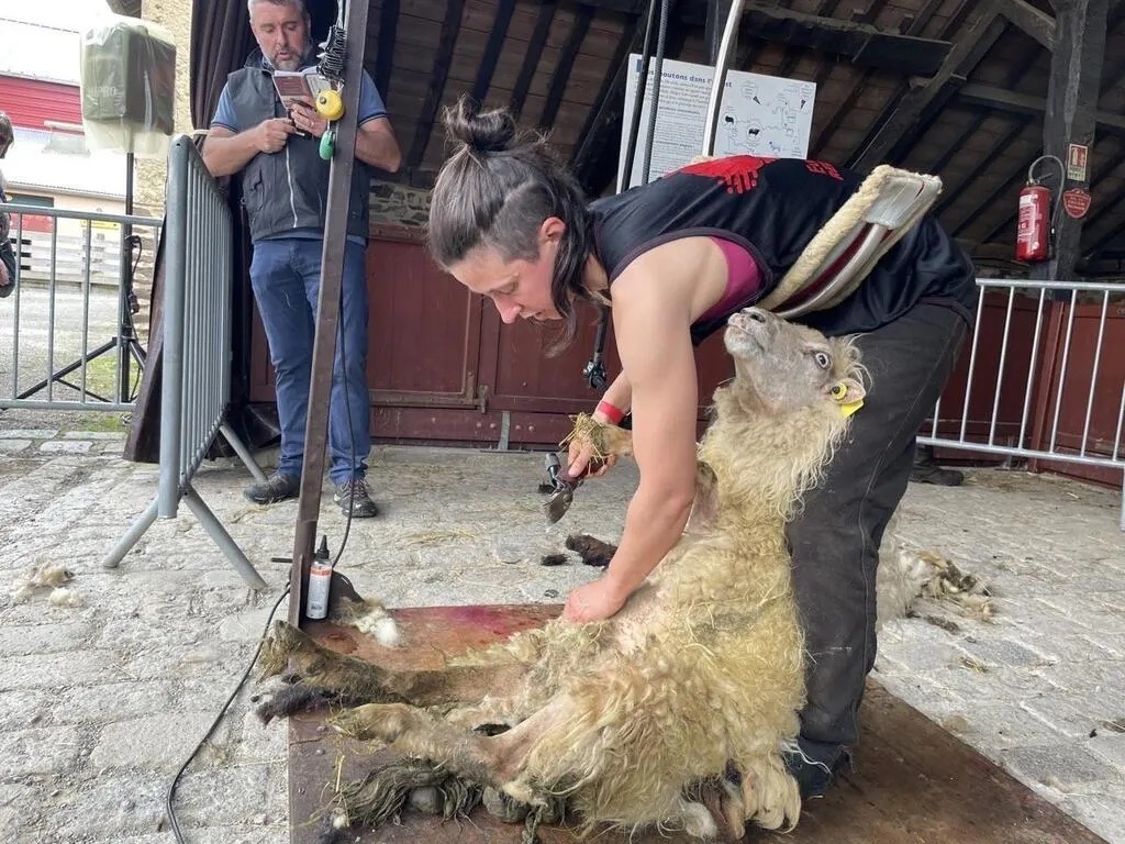 Fête de la tonte 2026 à Rennes
