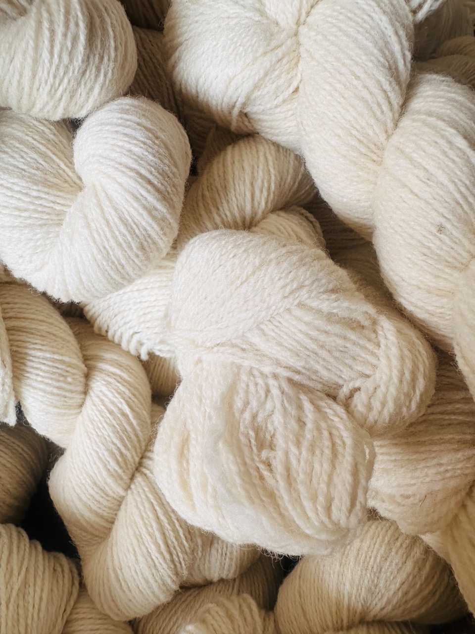 Fil à chaussettes - Le Roussin – Image 2