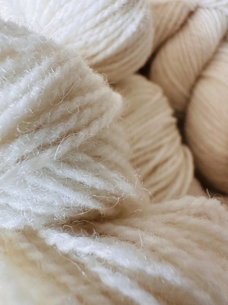 Fil à chaussettes - Le Roussin – Image 4