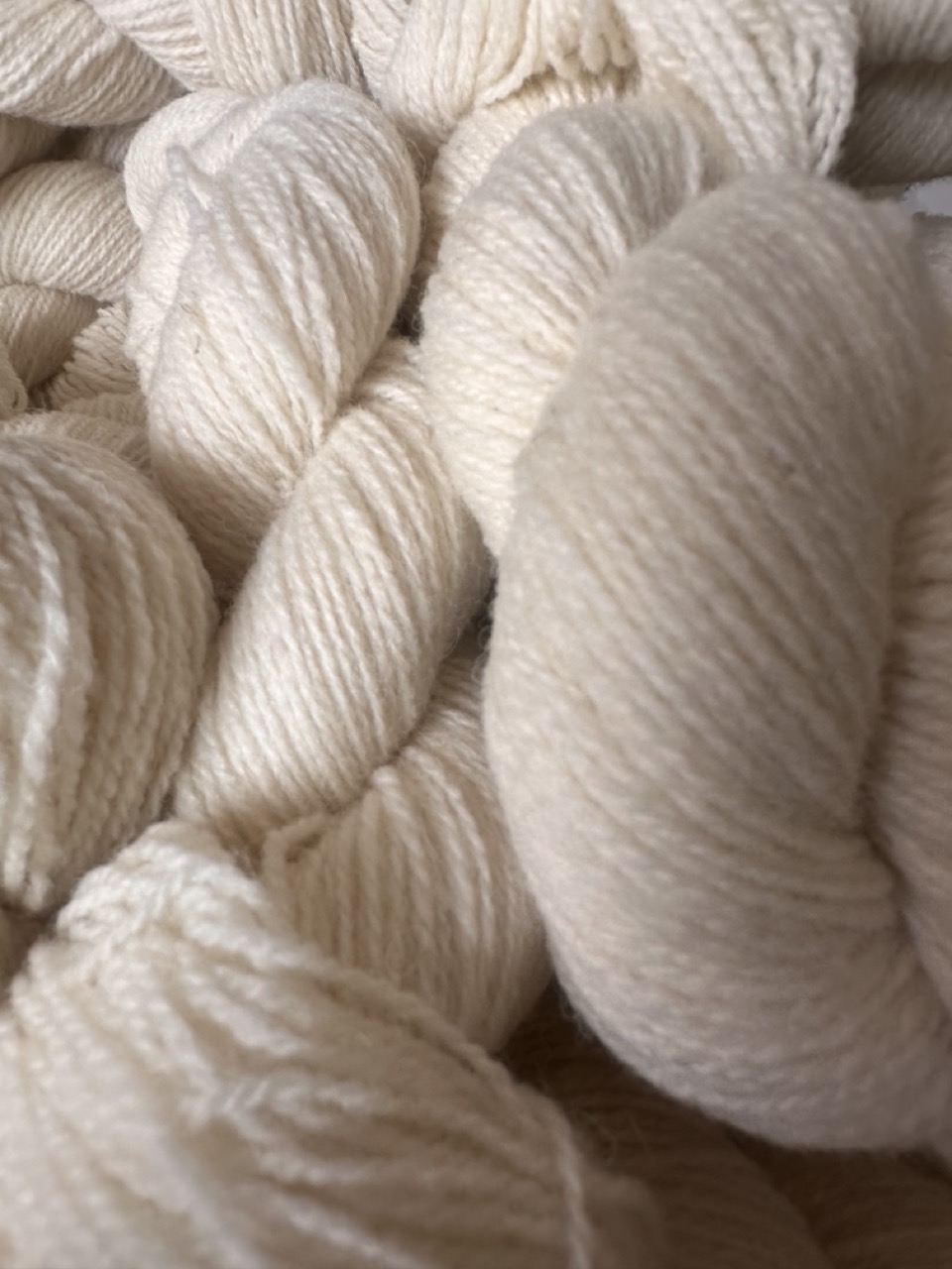 Fil à chaussettes - Le Roussin – Image 8