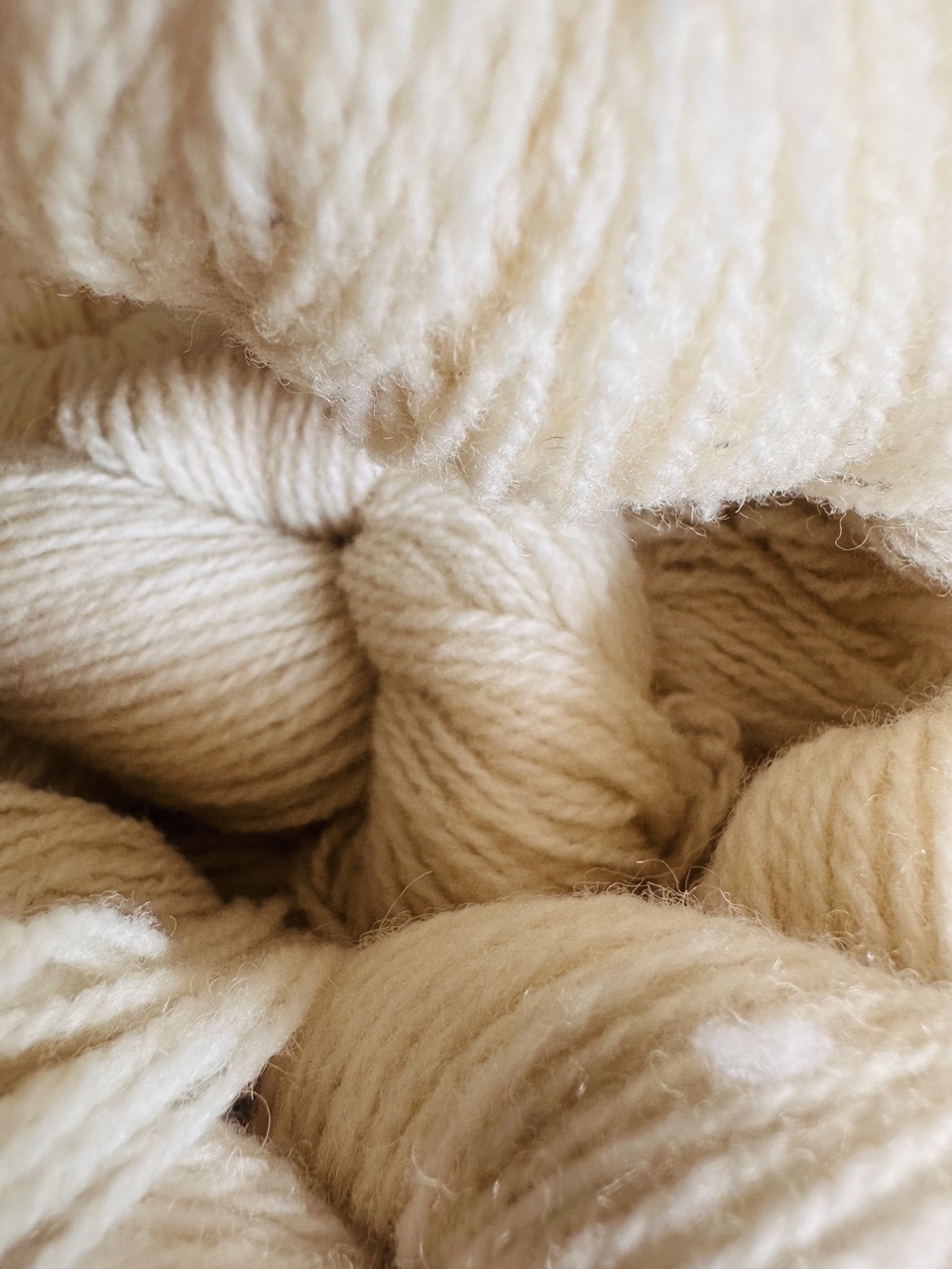 Fil à chaussettes - Le Roussin – Image 11