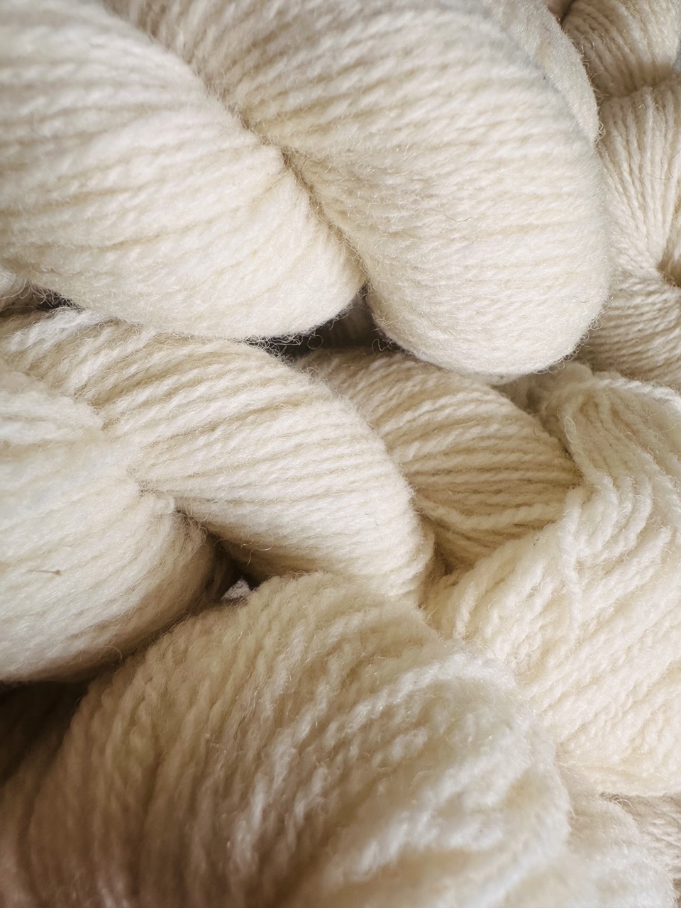 Fil à chaussettes - Le Roussin – Image 9