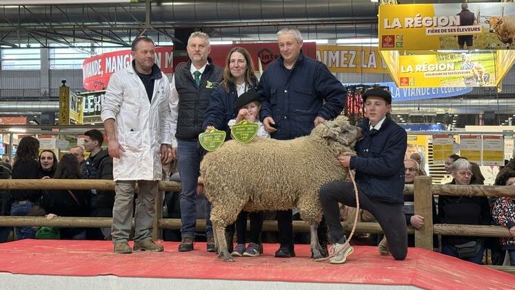 GAEC de la Cauvellière – Avranchins et races normandes à Bazoches-au-Houlme