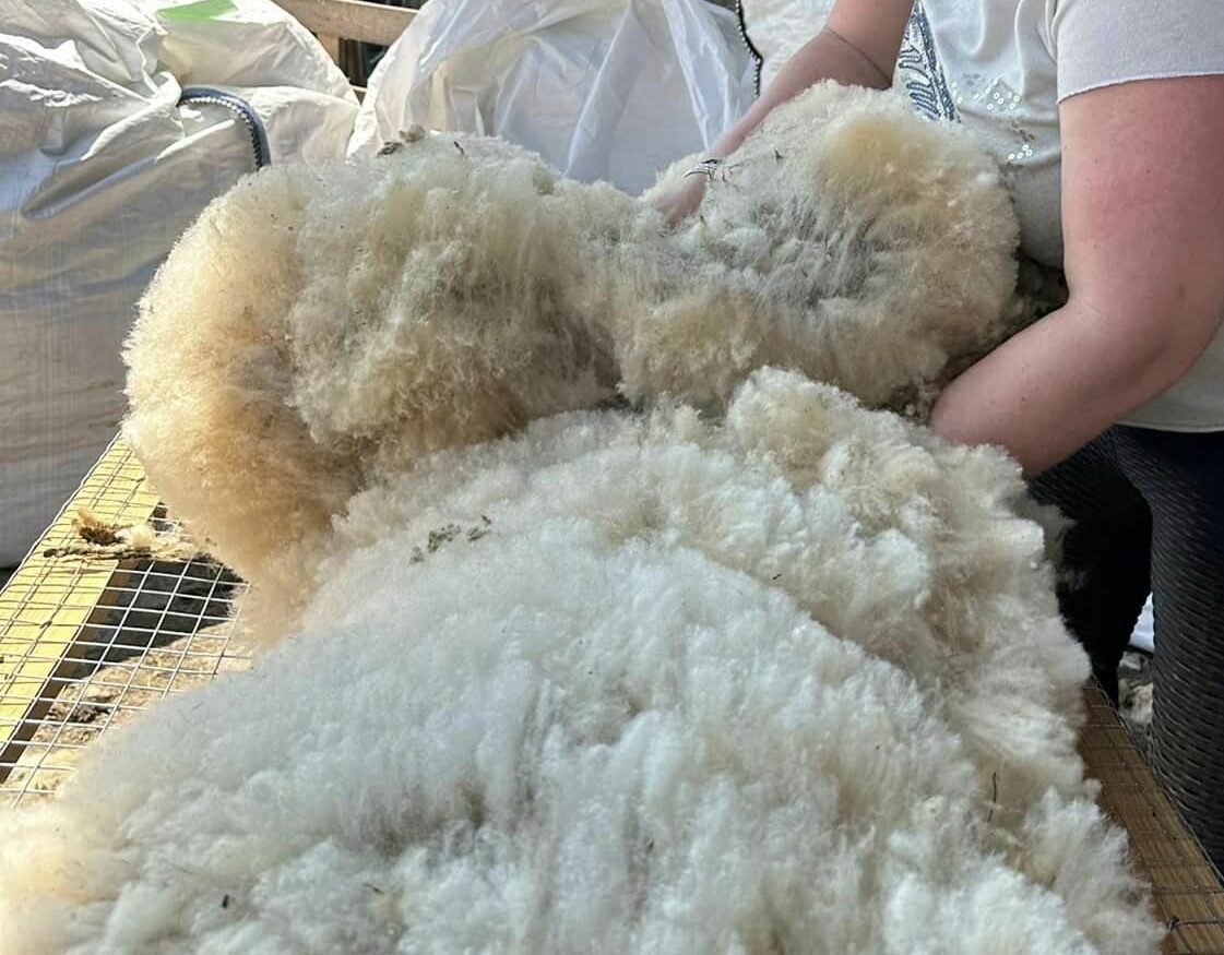 Femme manipulant de la laine de mouton dans un environnement de production durable.